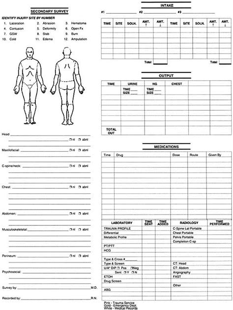 Trauma Flow Sheet Journal Of Emergency Nursing