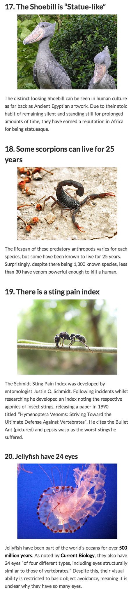 20 Interesting Yet True Facts About The Animal Kingdom