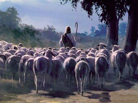 The Parable Of The Sheep And The Goats Finally Unveiled Salvation