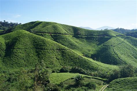 To the north, its boundary touches that of kelantan; Pakej Cameron Highlands 3 Hari 2 Malam • POPULAR