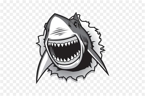 Shark Mouth Vector At Getdrawings Free Download