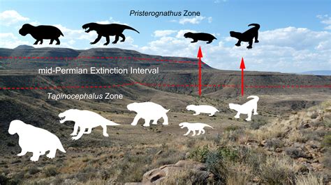 Mass Extinction Event From South Africas Karoo