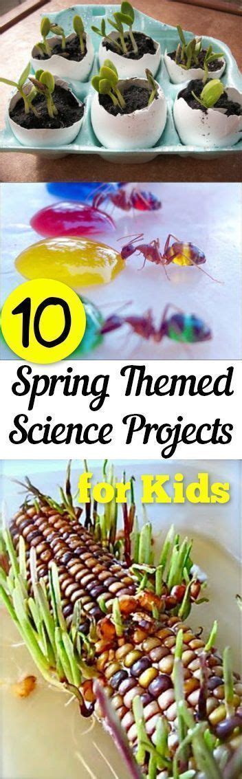10 Spring Themed Science Projects For Kids Science Projects For Kids