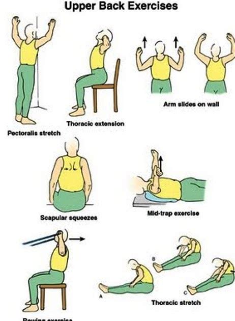 EXCLUSIVE PHYSIOTHERAPY GUIDE FOR PHYSIOTHERAPISTS EXERCISE FOR UPPER BACK