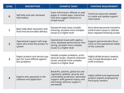 Definition of Software Support vs. Managed Services | Spinnaker Support