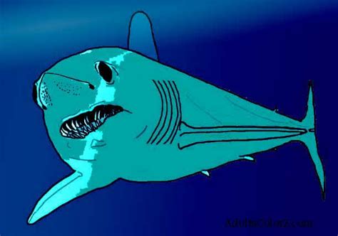 The mako shark can swim as quickly as 46 miles per hour and can jump as high as 30 feet. Shark Coloring Pages: Toothy Terrors?