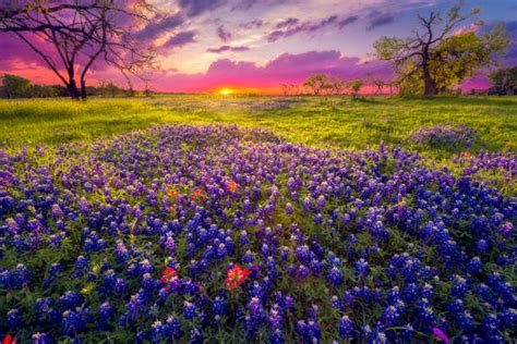 Texas Hill Country Stock Photos Pictures And Royalty Free Images Istock