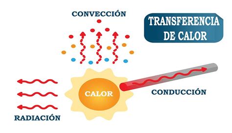 Transferencia De Calor Qué Es Por Qué Sucede Ejemplos