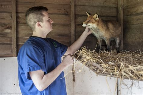 Secret World Wildlife Rescue Centre