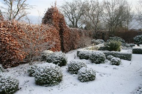 Anzucht von pflanzen, die im frühjahr in den garten kommen. Gärten im Winter › Zinsser Gartengestaltung, Schwimmteiche ...