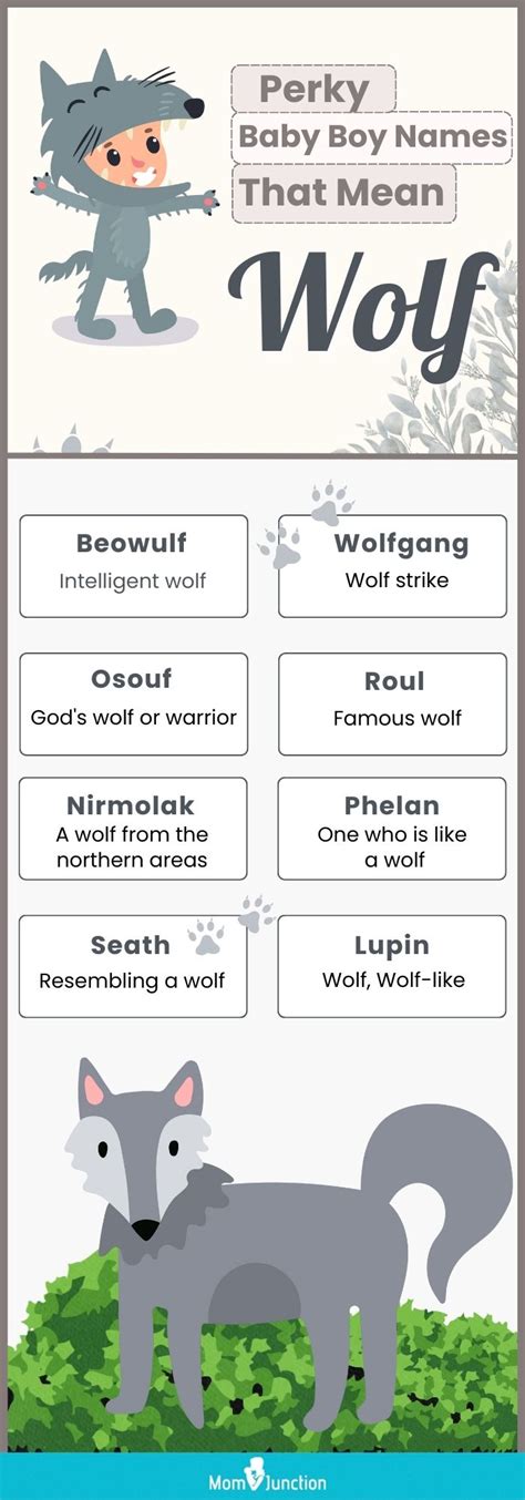 223 Perky Boy Names meaningWolf | Momjunction | MomJunction