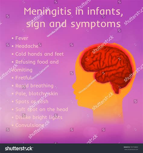 Meningitis Infants Signs Symptoms Vector Medical Stock Vector Royalty