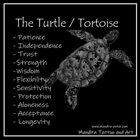 Tattoo Symbols The Turtle And Tortoise Symbolic Tattoos Turtle