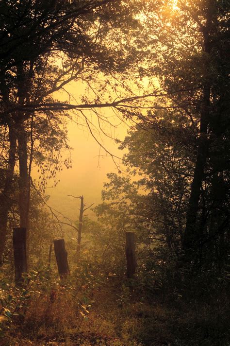 Foggy Sunrise Minong Wisconsin Nature Photography Foggy House On