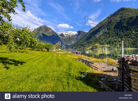 Fruit Orchard And Snow Capped Mountains At The Fjord In Balestrand