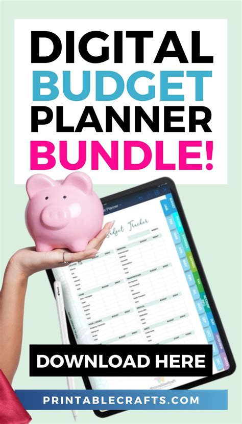 Digital Budget Planner For Goodnotes And Notability Etc Digital Etsy