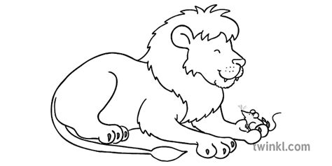 Singa Dengan Tikus Di Kaki Hitam Putih Illustration Twinkl