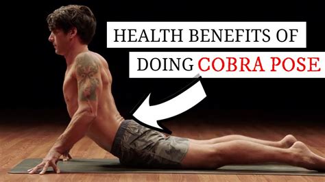 Top 10 Health Benefits Of Doing Cobra Pose Bhujangasana For Men And Women Cobra Pose Mhft