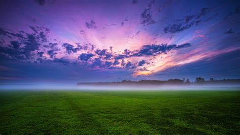 Green Grass And Fogg Under Purple Sky During Sunset 4k Hd Nature