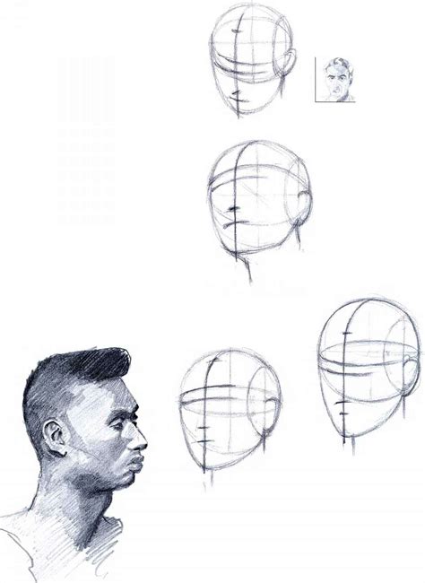 Head Face Drawing The Human Body Joshua Nava Arts