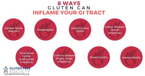 Can Gluten Cause Gut Inflammation Gluten Free Society