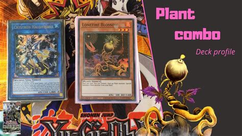 Yu Gi Oh Plant Combo Deck Profile In Depth April 2022 Format Youtube