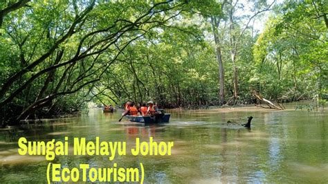 Ecotourism Kampung Sungai Melayu Johor Youtube