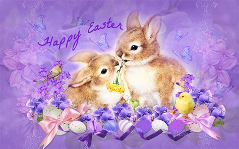 Easter Rabbits Easter Wallpaper 38187547 Fanpop