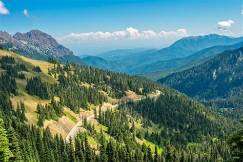 Visitor Guide To Olympic National Park Cbs Los Angeles
