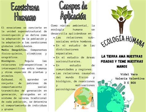 Tríptico Folleto Información De La Ecología Humana Las Relaciones