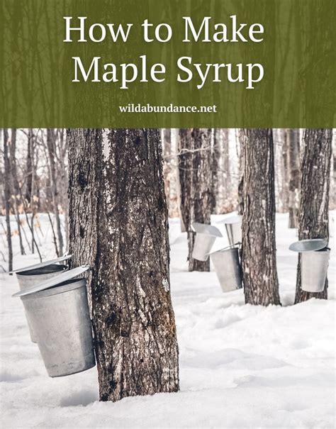 how to make maple syrup wild abundance