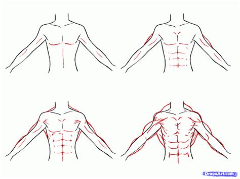 The perfect back muscles anime animated gif for your conversation. How to Draw Shonen, Draw Anime Boys, Step by Step, Anime ...