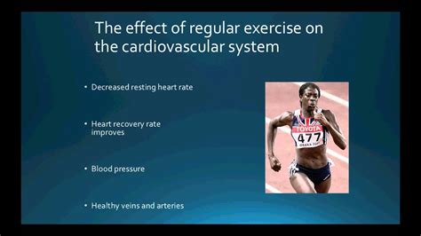 122 The Regular Effects Of Exercise On The Cardiovascular System Part