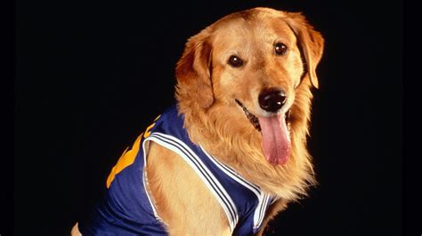 Air Bud Apple Tv