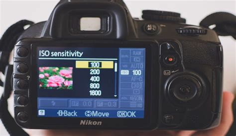 What Is Iso In Camera Understanding Iso For Beginners
