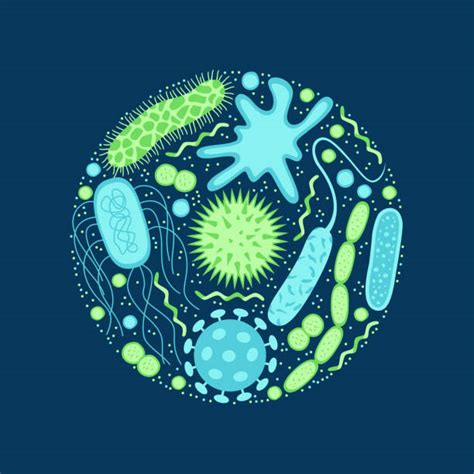 Best Infectious Disease Illustrations Royalty Free Vector Graphics