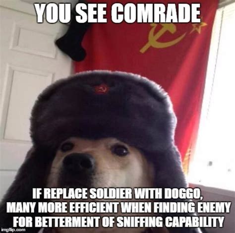 You See Comrade Comrade Doggo Know Your Meme