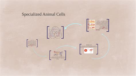 Diffusion In Animal Cells Bbc Bitesize New Gcse Bbc Bitesize