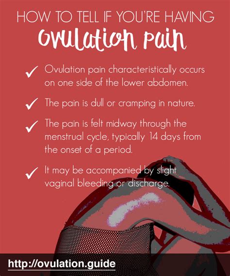 Abdominal Pain During Ovulation Prenatal Vitamins