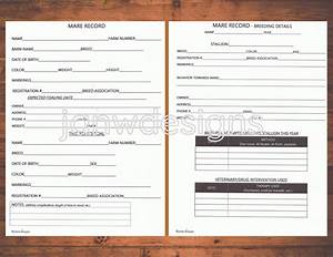  Record Equine Journal System Letter Size A4 Size Horse
