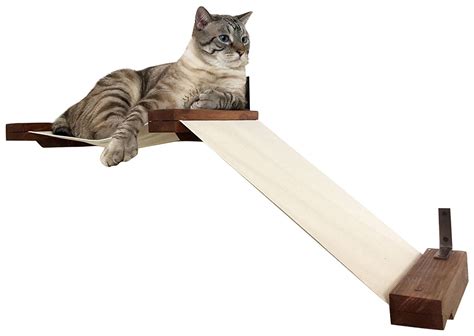 Instead of buying an expensive cat hammock, create your own with items you probably have at home. AmazonSmile : CatastrophiCreations Fabric Raceway Hammock ...