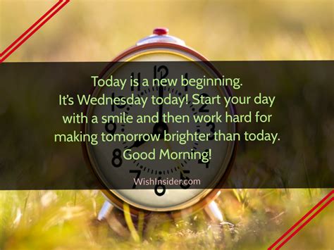 10 Good Morning Wednesday Quotes Wish Insider