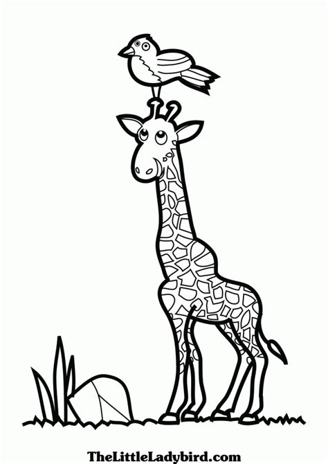 Free Printable Giraffe Pictures, Download Free Printable Giraffe