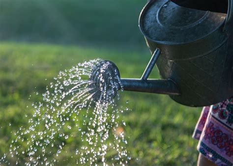 Water Pouring On Gray Steel Watering Can Photo Free Can Image On Unsplash