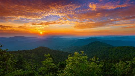Wallpaper Tennessee Sunset Nature Forest 2560x1440 Letkevin