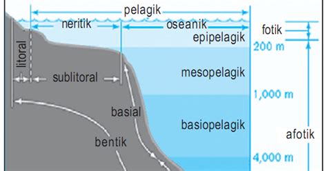 We did not find results for: Ekosistem Air Laut/ Ekosistem Bahari | MATERI | SOAL ...
