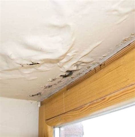 A plumbing inspection adds $80 to $150 if the source of the leaking pipe cannot be located. Civiconcepts - Make Your House Perfect With us