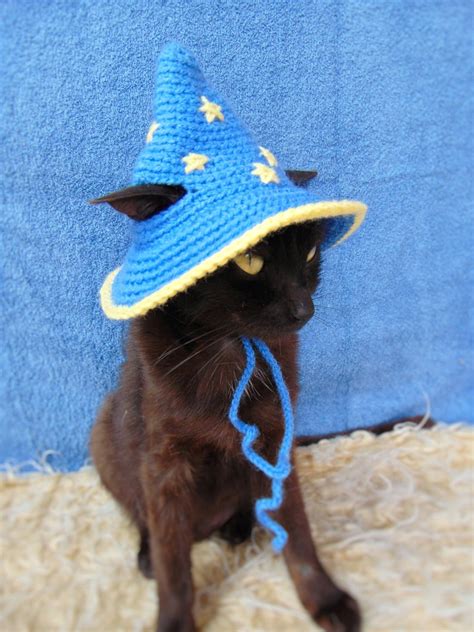 Wizard Hat For Cat Wizard Pet Costume Halloween Kitten Etsy