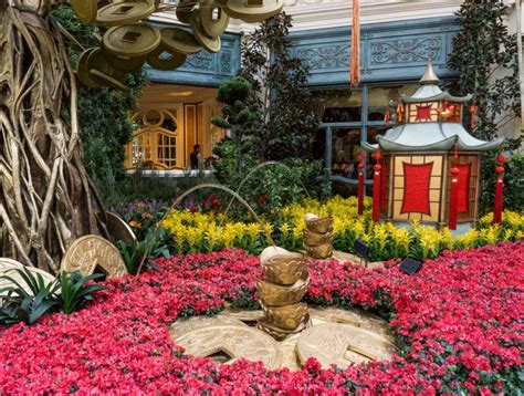 Flamingo las vegas (formerly the fabulous flamingo and flamingo hilton las vegas) is a casino hotel on the las vegas strip in paradise, nevada. Spectacular Details at the Bellagio Hotel in Las Vegas ...