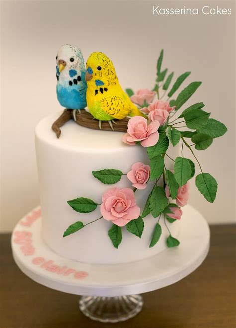 Budgie Birthday Cake Cake By Kasserina Cakes Cakesdecor